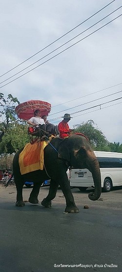 ทัวร์อยุธยา